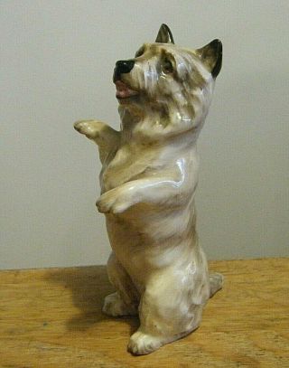 Cutest Vtg Royal Doulton Begging Cairn Terrier Dog 2589 England 4 "