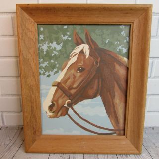 Vintage Paint By Numbers Horse Picture 12 X 10 Wood Frame Circa 1960s? Painting