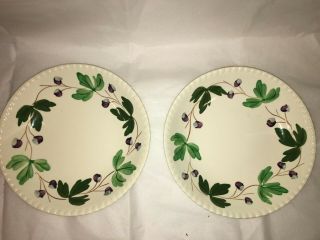 2 Vintage Blue Ridge SOUTHERN POTTERIES “Mountain Ivy” Pattern cereal bowls vegs 2