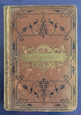 Wonders Of Insect Life,  1871,  Prof.  J.  E.  Willet,  Structures,  Habits,  Instincts.