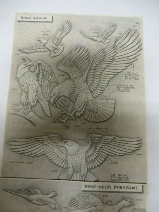 Vtg Craftool Picture Pattern Pak No.  6002 AL STOHLMAN Pheasant Bald Eagle Grouse 4