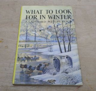 What To Look For In Winter Vintage Ladybird Book Series 536 W Dj Dustjacket