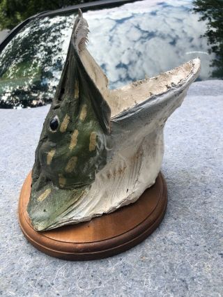 Vintage Pike Fish Head On Wood Mount.  10”