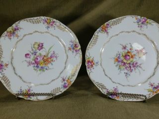Vintage 8 " Porcelain Plates.  Dresden Flowers And Gold Border
