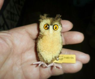 Vintage Steiff Owl W Glass Eyes Miniature W Tag & Button