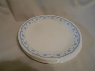 6 Vintage Corelle Morning Blue Flower Dinner Plates 10 " 1 0f 2