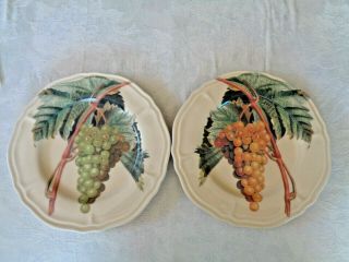 Certified International Vintage Grapes 2 Dinner Plates Grapes Green And Yellow
