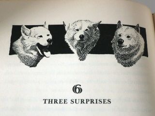 1950 Book Barney Hits The Trail Sled Dog Fred Machetanz Husky Malamute Samoyed
