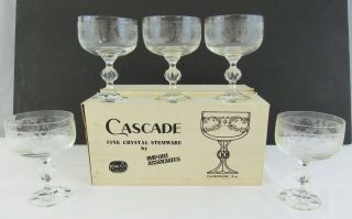 Vintage Cascade Bohemia Fine Crystal Set Of 5 Champagne Glasses
