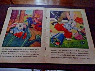 1938 Printing of: Peter Rabbit Picture Book By Ruth E Newton ' s & Chubby Cubs 3