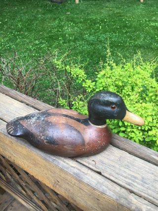 Vintage Wood Duck Decoy? Folk Art Dated 2 - 22 - 81 & Signed Mallard?