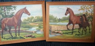 Vintage 2 Paint By Number Pictures Horses And Colt 19x16 " - Wood Frame