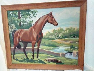 Vintage 2 PAINT BY NUMBER pictures horses and colt 19x16 