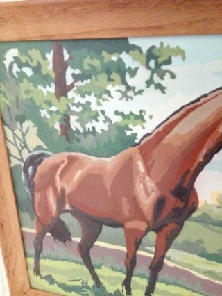 Vintage 2 PAINT BY NUMBER pictures horses and colt 19x16 