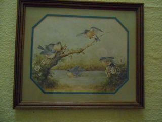 5 Bluebirds On A Limb Picture Vintage Home Interiors 19 X 15 "