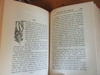 Old THE SON OF TARZAN Book 1917 EDGAR RICE BURROUGHS JUNGLE APE LION WILD AFRICA 5