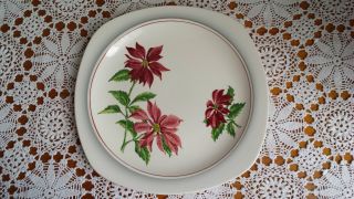 Stylecraft By Midwinter Staffordshire Semi - Porcelain England Plate 1950s Vintage