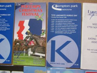 14 x Vintage Kempton Horse Racing Programmes / Racecards from the 1990s/00s 3