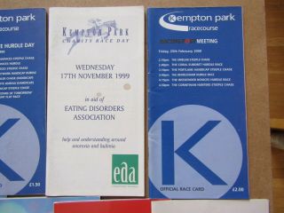 14 x Vintage Kempton Horse Racing Programmes / Racecards from the 1990s/00s 4