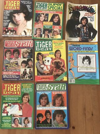Lqqk 8 Vintage 1977 Teen Magazines,  Tiger Beat,  Teen Beat,  Dynamite,  Shawn,  Leif