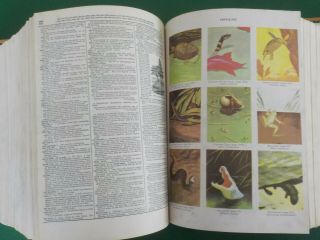 Vintage 1957 Webster ' s Twentieth Century Unabridged Dictionary (EB 7