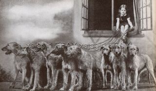 Dog Irish Wolfhound Little Girl Holds Onto 8 Barr Kennel,  Vintage Print 1930s