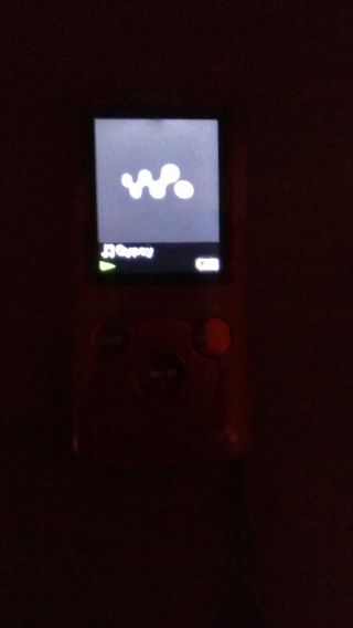 Sony NWZE383 4 GB Walkman MP3 Video Player 4GB RED and LIFE 4