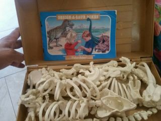 Fisher Price 6613 Design - A - Saur Bones Dinosaur Set Carrying Case Vtg 90 