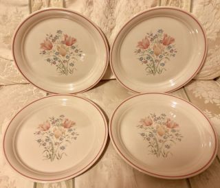 Set Of 4 Vintage Corelle French Garden Dinner Plates
