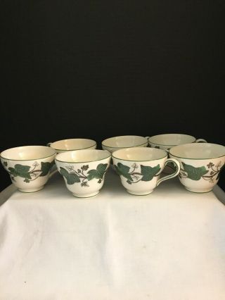 7 Vtg Wedgwood Etruria Barlaston Napolean Ivy Cups Made In England