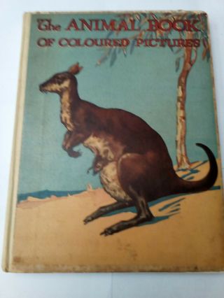 The Animal Book Of Coloured Pictures (unknown - 1934) Illustrations.
