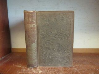 Old Scalp Hunters Book 1856 Adventures Among Trappers Indians Frontier Settlers