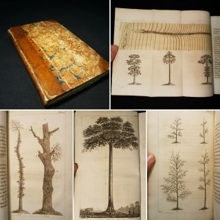 1810 Forest Pruner Timber Diseases Sepia Engraved Toned Plates Botany W.  Pontey