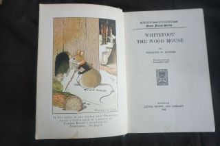 Thornton W.  Burgess - Whitefoot the Wood Mouse,  Little Joe Otter 1922 - 25 1st Ed. 5