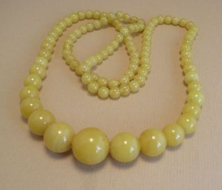 Vintage Yellow Graduated Long Glass Bead Necklace C.  1950 