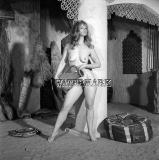 Anna Verdi Vintage Nude By Harrison Marks - Negative (2.  5″ By 2.  5″)