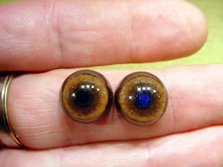 A Pair Vintage Solid Glass Eyes Size 14 Mm Teady Bear Taxidermy Age 1910 A 1113