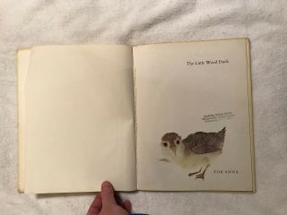 THE LITTLE WOOD DUCK Written & Illustrated By: Brian Wildsmith 1973 First Am Ed 4