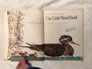 THE LITTLE WOOD DUCK Written & Illustrated By: Brian Wildsmith 1973 First Am Ed 5