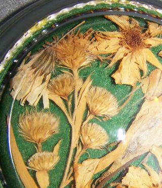 Vintage Paperweight Glass W/ Pressed Flowers Inside
