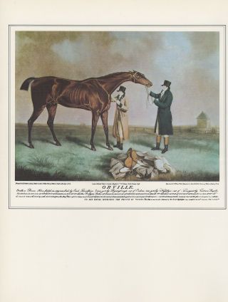 1974 Vintage Horses " Orville " Famous 1800 