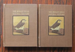 1913 Bodley Head Natural History - British Songbirds Illus J.  A.  Shepherd 2 Vols