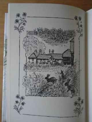 1ST EDITION / 1ST PRINTING of TALES FROM WATERSHIP DOWN RICHARD ADAMS FIRST 1996 4