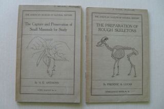 American Museum Of Natural History Booklets From Nobel Laureate Estate - 1931