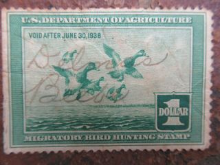 Vintage 1938 One Dollar U S Postage Stamp; Signed Migratory Bird Hunting Stamp