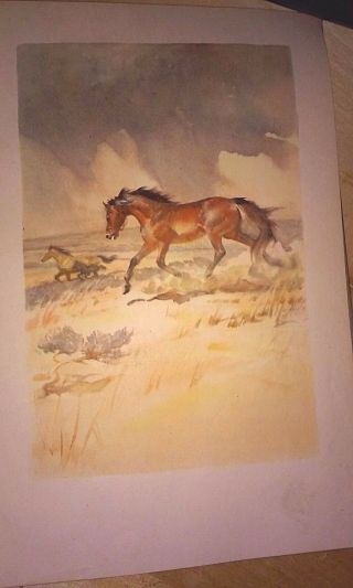 1945 1st Illustrated Edition: The Red Pony By John Steinbeck – Wesley Dennis