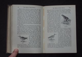 THE ORKNEY BOOK by John Gunn: Scottish Isles / History / Legend & Lore 1st 1909 4