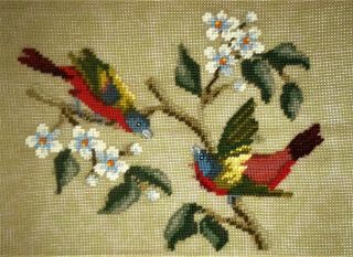 Birds In Dogwood Floral Vintage Preworked Needlepoint Canvas W/ Design Finished
