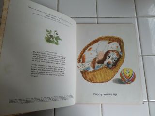Our Puppy,  A Little Golden Book,  1948 (VINTAGE BROWN BINDING; Children ' s) 4