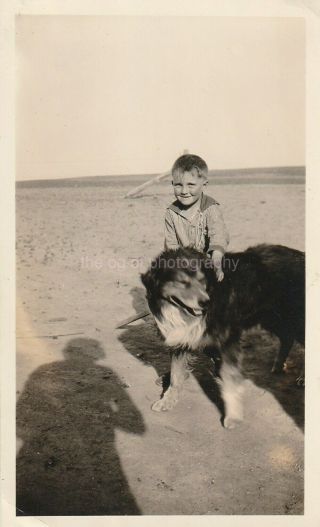 Dog Boy Vintage Found Photo Bw Snapshot Shadow 92 11 R